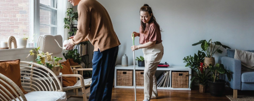 livingnl-cleaning-house