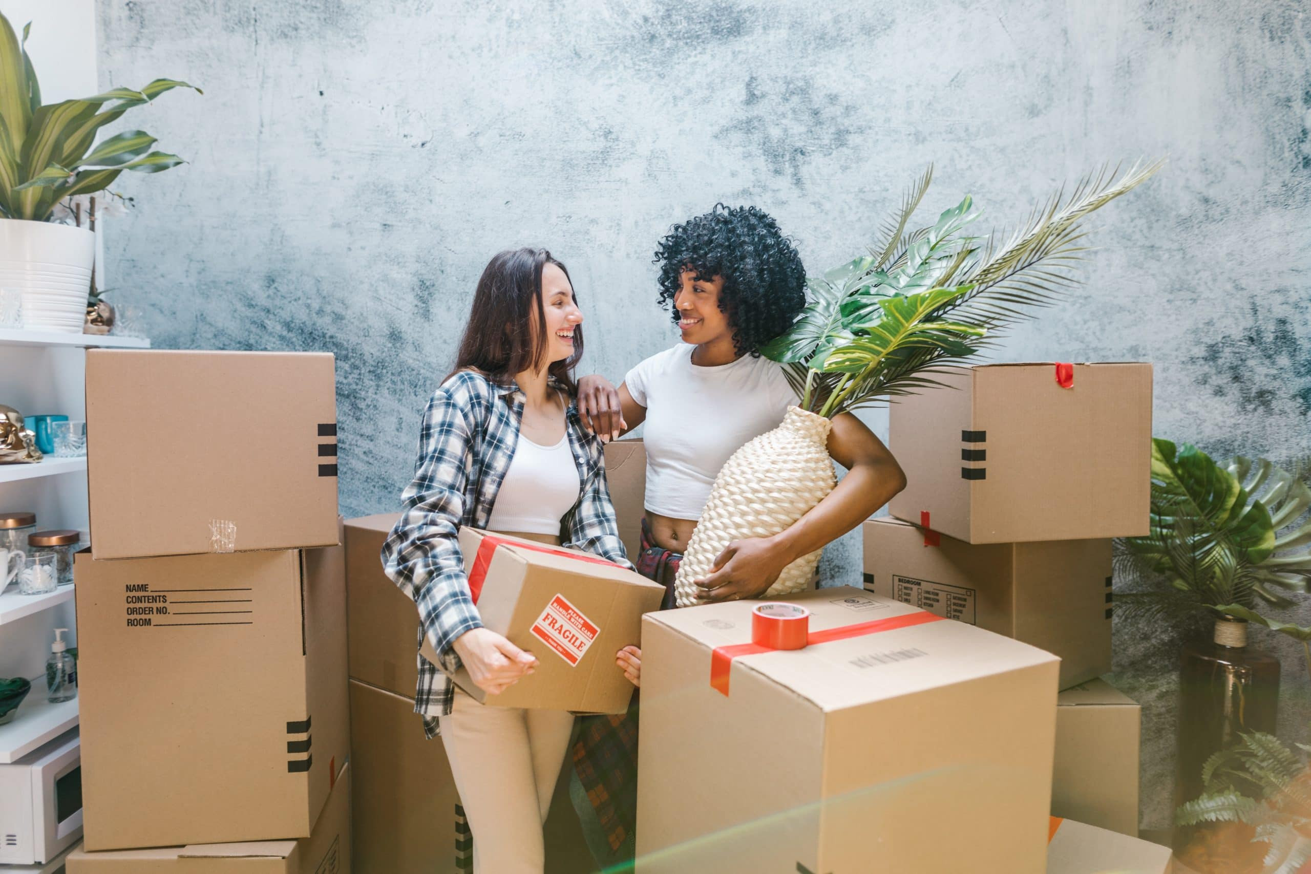 Free moving boxes Free moving boxes